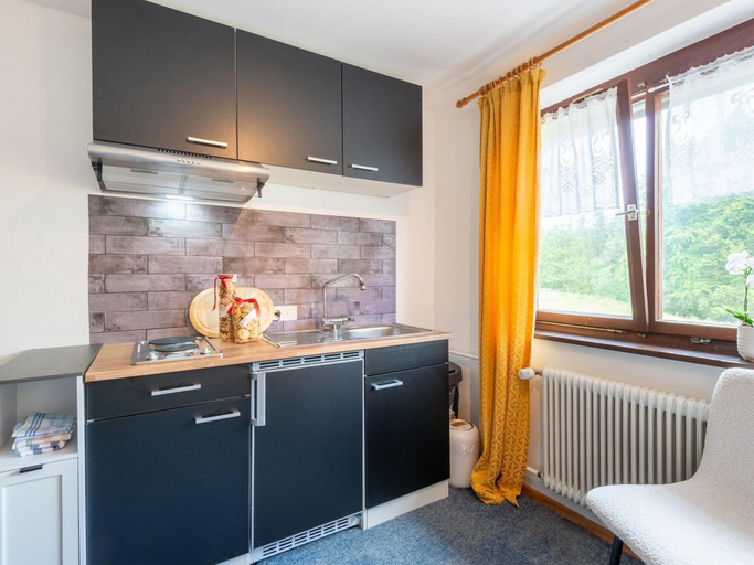 Private kitchen 5, Dog-friendly Chalet in Bregenzerwald, Bregenz