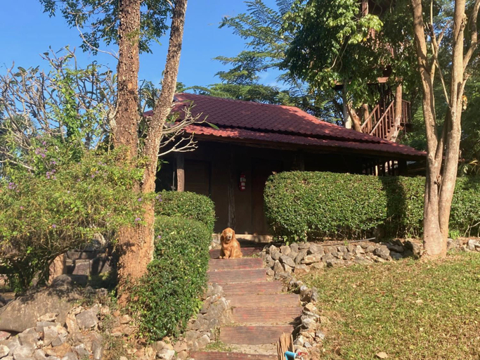 Others 5, Mae Chan Treehouse with swimming pool, Mae Chan