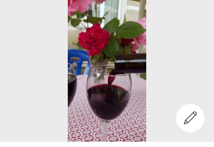 Food & Drinks, House Gio - Birdwatching, Kobuleti