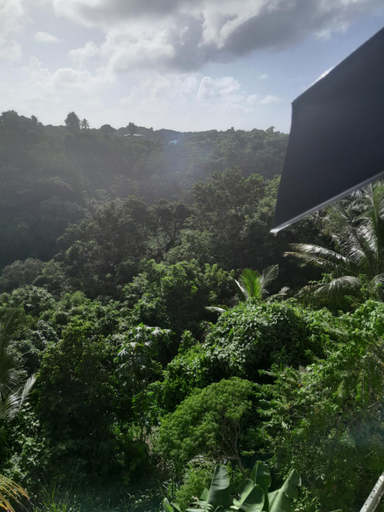 3, Les manguiers, Sainte-Anne