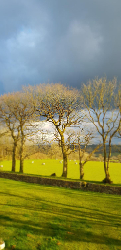 Others 3, Appleton House, Devon