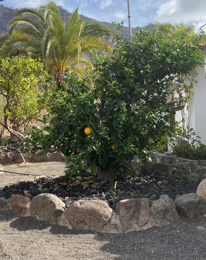 Others 5, Casa Colonia, Las Palmas
