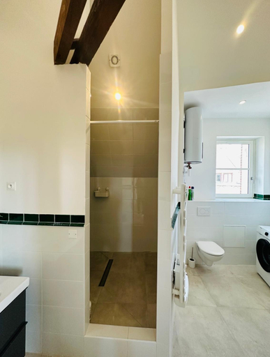 Bathroom 1, L'Herboriste - Appartements meubles, Loiret