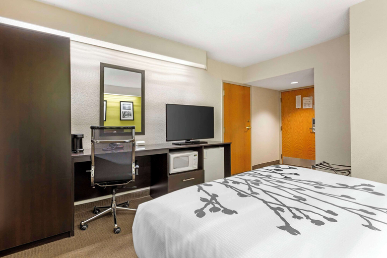 Bedroom 4, Sleep Inn at Greenville Convention Cente, Greenville