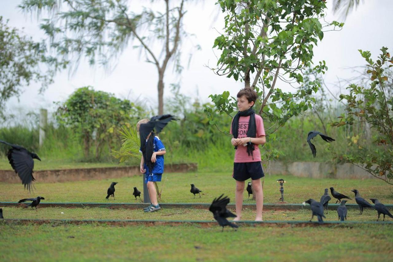 Others 5, The Nilambara Lake View, Galewela