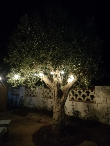 Others 3, Villa Rebecca, Lecce