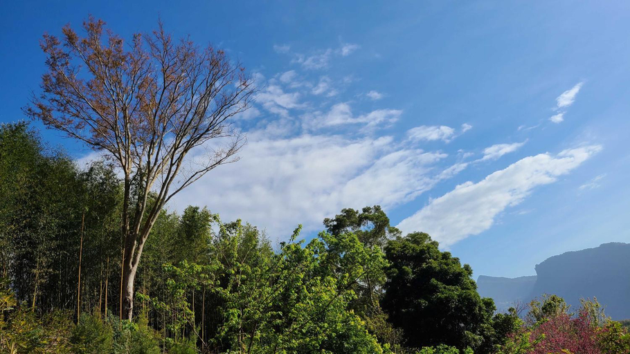 Others 3, 山林間 - 露營 旅居 Forest Camp Bnb 預訂後10分鐘請查收站內信完成匯款, Miaoli