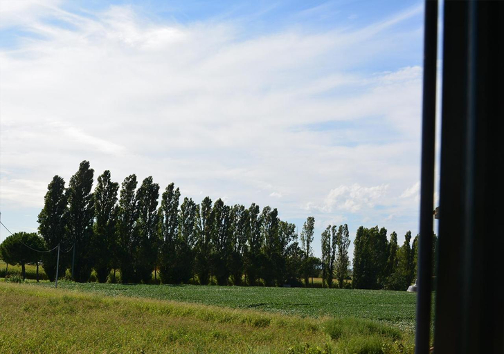 Others 4, Corte Monfardina, Rovigo