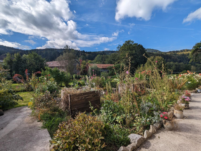 Others 4, Chambre climatisee avec salle d'eau privative et acces jardin - FR-1-589-664, Vosges