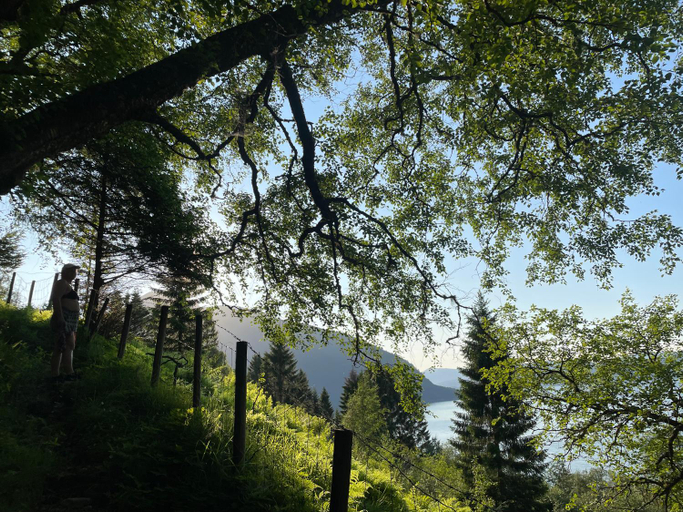 Others 2, Monshaugen Home - Privat Retreat, Sykkylven