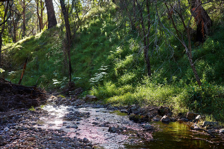 Others 5, Monga Mountain Retreat, Palerang - Pt B