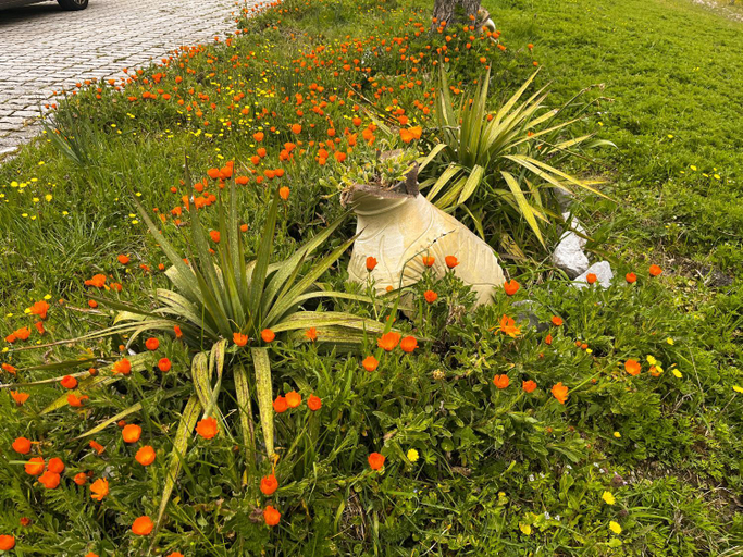 Others 3, Il Giardino di Vincenzina B&B, Potenza