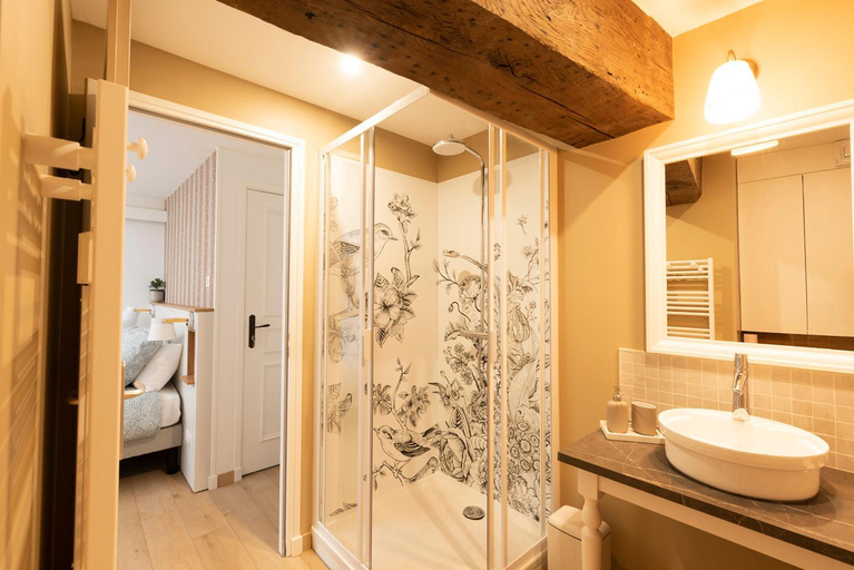 Bathroom 3, La Lirosane, 3 studios, 3,7km du Zoo, Centre-ville, Loir-et-Cher