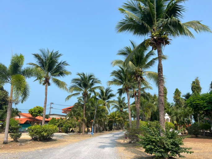 Others 4, Baan Wang Bua, Ko Samui