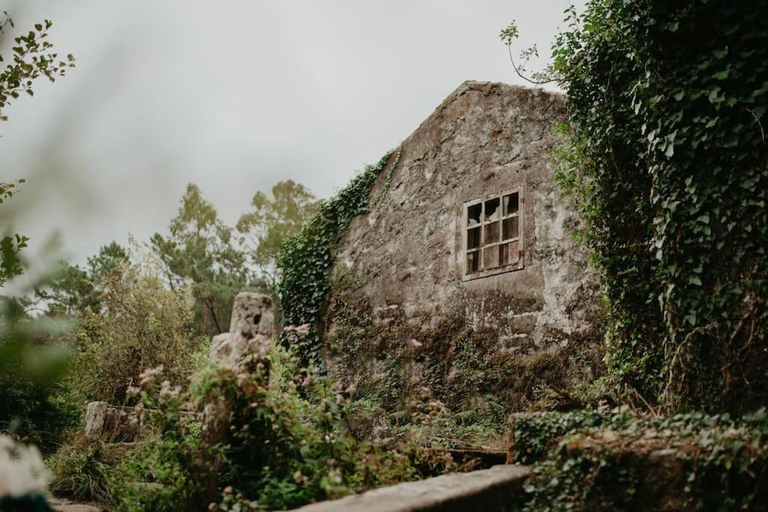 Antas Villa Family, Esposende