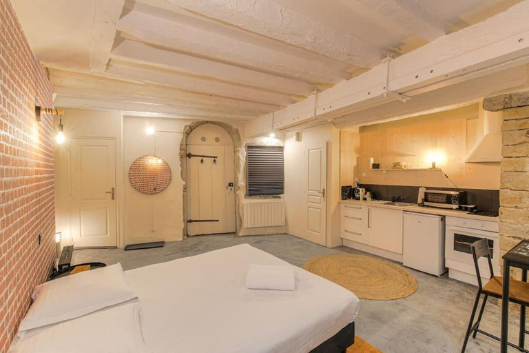 Others 5, Industrial-style studio with bathtub, Vieux-Lyon, Rhône