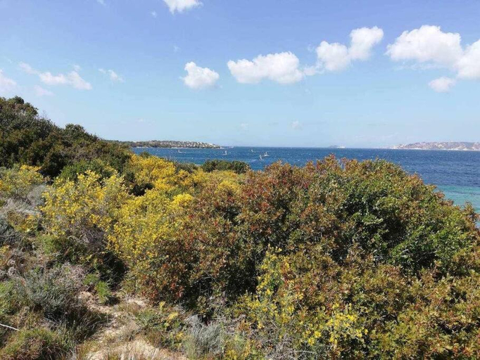 3, Casa di Lu' - Bilocale con giardino - Porto Pollo, Olbia-Tempio