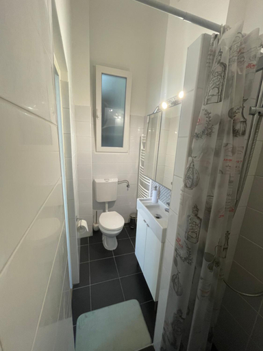 Bathroom 2, Roland Apartment Downtown - Pope Subway, Budapesti