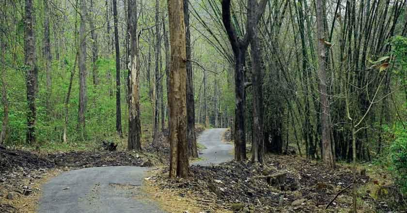 Others 4, Thenmala Heritage, Kollam