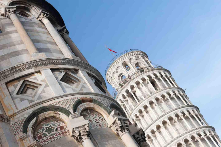 La Corte di Marino, Pisa