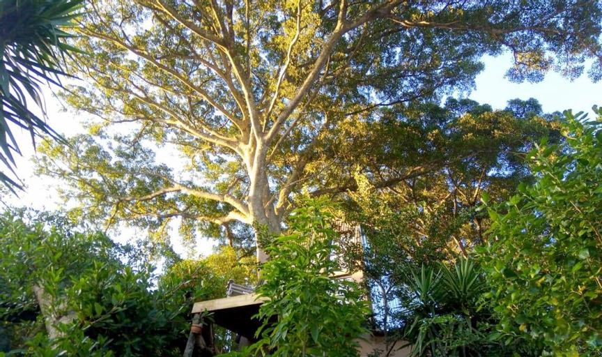 Exterior & Views 5, Skylark Cottage, Cacadu