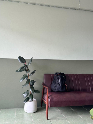 Others 5, KP Apartment , Muang Chaiyaphum