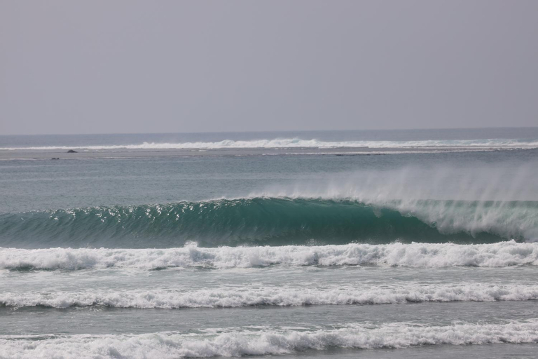 Exterior & Views 5, Nias Shady Palm surfcamp, South Nias