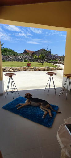 Others 3, Kyrios Lounge Studio with use of private pool, Alcobaça