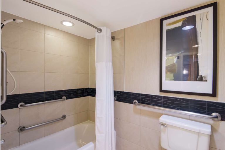 Bathroom 5, Sonesta Es Suites Chicago Dwntn Magnificent Mile, Cook