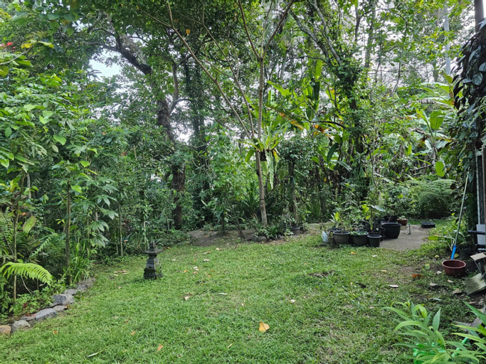 Scenery 21