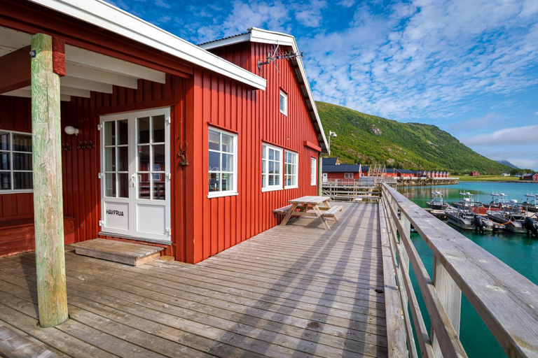 View 5, Lofoten Seaview Villa, Vestvågøy