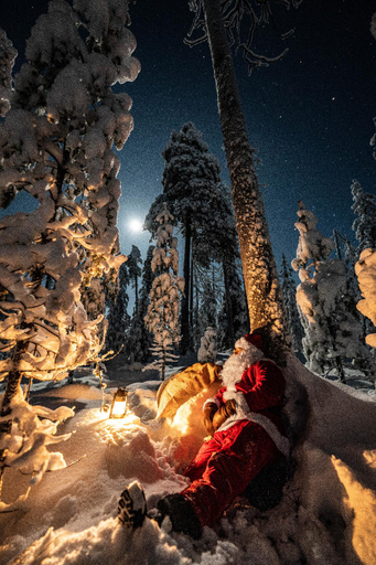 Surrounding environment 2, Exclusive Villa Wikkelä Ranua with Sauna & Jacuzzi, Lapland