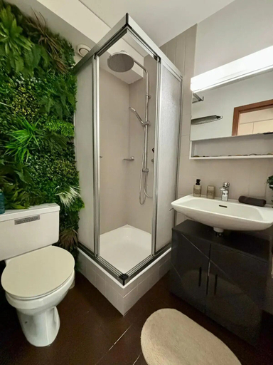 Bathroom, Vue imprenable sur les Alpes, Sierre