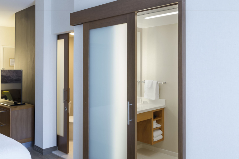 Bathroom 4, SpringHill Suites by Marriott Orange Beach, Baldwin