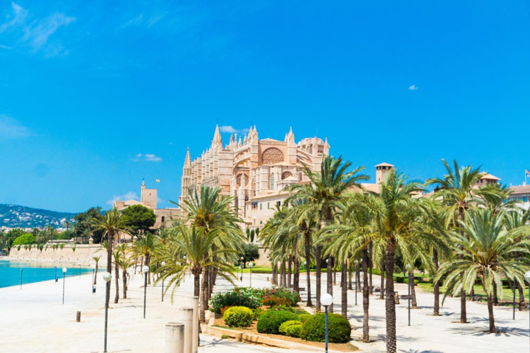Room 3, Casa Phoenix Iv - Adults Only, Baleares
