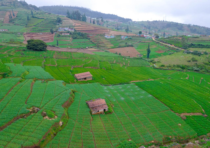 Others 5, Silent Valley Ooty Resort by VOYE HOMES, The Nilgiris