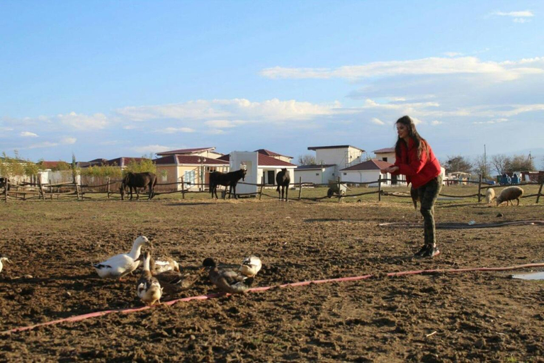 Others 3, Paradise Investment Resort, Telavi