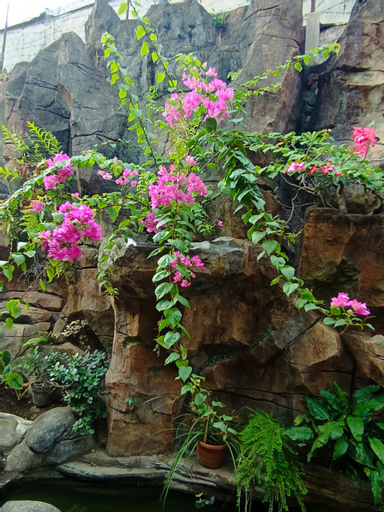 Scenery 9