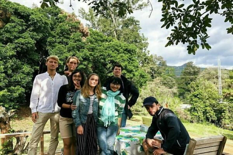Others 5, Jungle guest house, Pang Ma Pha