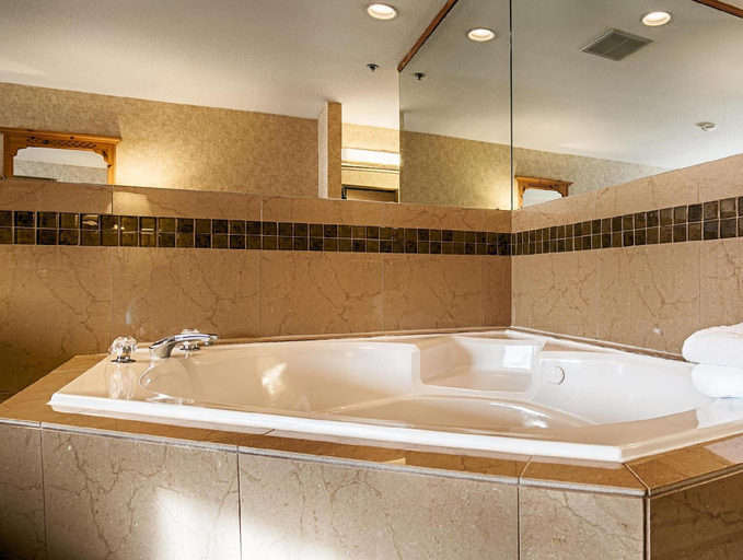 Bathroom 24