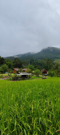 Exterior & Views 4, Rimna Banpark Accommodation Rimna Banpark, Chom Thong