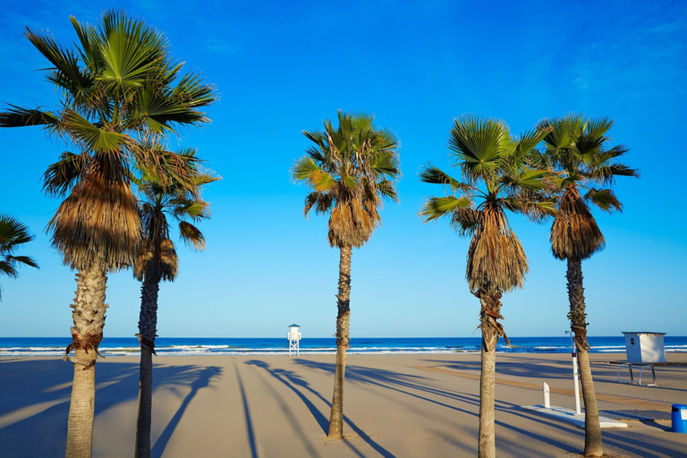 Room 5, Tallarol in Grau i Platja, Valencia