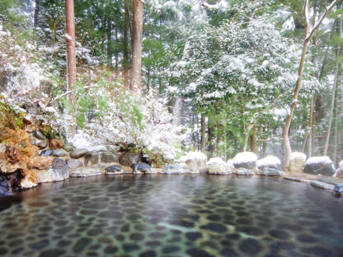 Others 5, Yumoto Choseikan, Minakami