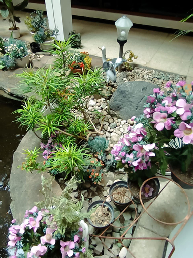 Scenery 8