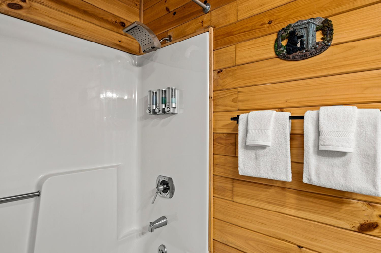 Others 5, Laughing Bear Cabin 44B, Swain