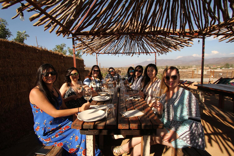 Food & Drinks 4, Santerra, Ensenada