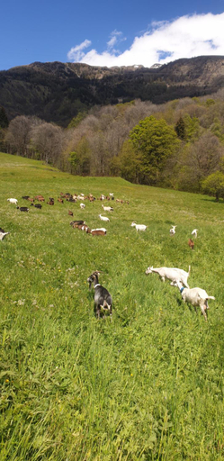 Others 5, Chambre d'hotes a la ferme, Savoie