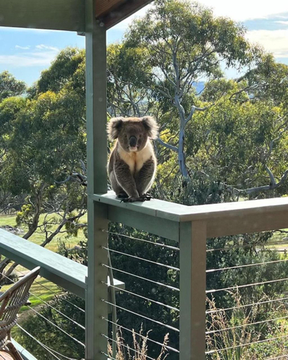 Others 4, Allusion Farmstay and Vineyard Units, Yankalilla