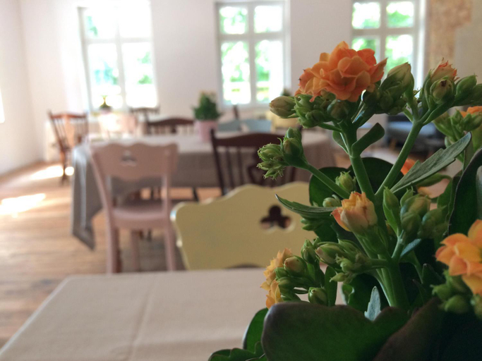 Food & Drinks 4, Widokowka, Świebodzin