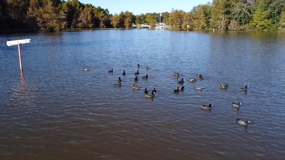 Others 3, Cypress Landing Cabins, Covington